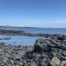 박동물종합병원 | "현지인만 안다는 비밀"...제주도 여름 필수 계곡 피서지 4곳 완벽 가이드