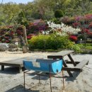 이시돌쉼터 이미지