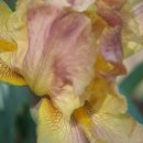 갤러리민박 이미지