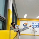 국가대표 태비태권도 이미지