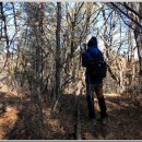 매봉산4 이미지