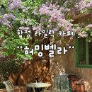 벨라애견카페 | 합정 홍대 라일락 카페 허밍벨라 메뉴 주차 실시간 후기