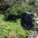 토산2리 이미지