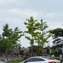 함양집(우시산) | 울산 중구 함양집에서 육회물회, 곰탕, 신선로수육까지 먹고 왔어요.