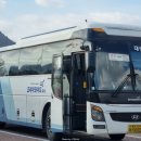 와이드대성 이미지