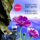 인생 나이 / 이수만시인 (사) 서울시소기업소상공인연합회 초대회장 이미지