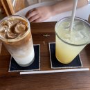 카페유자