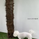 프랜드펜션