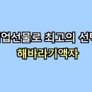 해바라기치과의원 | 개업선물로 최고의 선택, 해바라기액자