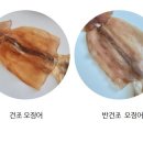 다해온 이미지