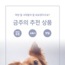 위드몽 이미지