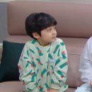 초록신사