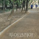 (주)새시대여행사 투어코리아