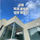 222-1-000001 | 강원도 동해 독채 풀빌라 ‘호텔벨보이’ 생생후기 (내돈내산)