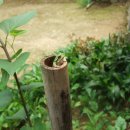 하늘바다 이미지