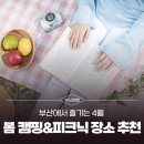창원공고.도로교통공단(농업기술센터방면) | 4월 부산 봄 캠핑 &amp; 피크닉 장소 추천