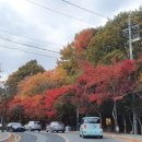 팔공산한의원 이미지