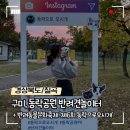 동락공원 반려동물 놀이터 | [경상북도/칠곡] 구미 동락공원 반려견놀이터 + 반려동물문화축제 ‘제 6회 동락으로 오시개’ 후기
