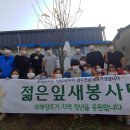 잎새 이미지