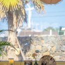 공간에 감성을 더하는 라탄소품 | 알폰스무하 감성으로 완성하는 꽃 디퓨저, 라플로리아 사용 후기