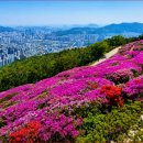 그루 티스토리