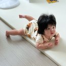 경기도 수원시 권선구 서둔로 190-1 (서둔동) | D+200 6개월 아기 육아일기 | 이유식 적응, 광교 아쿠아리움, 경기상상캠퍼스 나들이