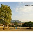 철마초등학교 이미지