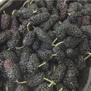 하만농장 이미지