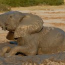 소원목욕탕 이미지