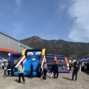 송지리식물가게 | 밀양 삼랑진딸기시배지축제가서 딸기실컷 보고온후기🔥