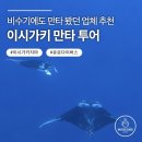 해양카써비스 | 이시가키 만타투어 비수기에 간 후기, 스노쿨링 업체 2곳 추천
