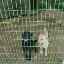 광개토농장 이미지