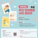 애드펫동물병원 이미지