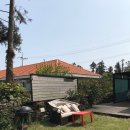 무문스테이 | 제주도 무문스테이 숙소 후기