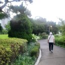 초록공원 농구장 이미지