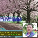 감전2배수장 네이버블로그