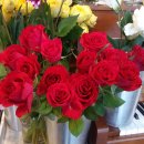 피아노숲 이미지