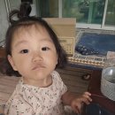 일월산산장 이미지