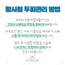 닥터모락 신도림점