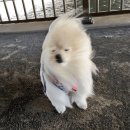 뽑아가유 | 🇵🇹 12월의 포르투갈 여행기, 포르투&amp;리스본 part 4 (7-9일차)