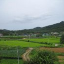 대야리(대실) 이미지