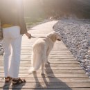 이오동물병원 이미지