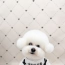 개린이살롱 이미지