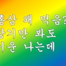 우리나현유치원 이미지