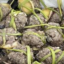 서부농업기술센터 이미지