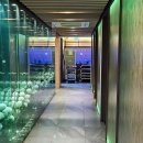 일품당샤브샤브 | 광화문 프라이빗 샤브샤브 한우 스끼야끼 일품당 프리미엄 내수동지점