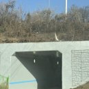 용인 동백카페 카페디thee 수제 원목가구 쇼룸 이모이