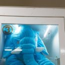 코끼리인형뽑기 이미지