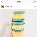라호야511