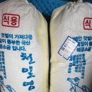 도영농장 이미지